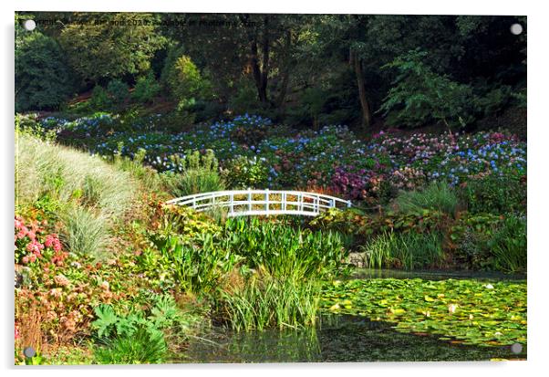 trebah gardens cornwall Acrylic by Kevin Britland