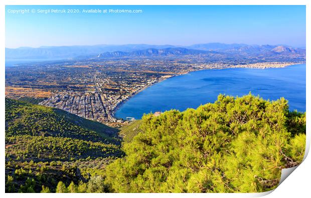 A beautiful fluffy spruce tree with cones under the bright sun against the backdrop of the city of Loutraki and the sea of blue Corinthian Gulf. Print by Sergii Petruk