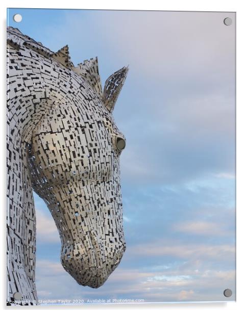 The Kelpies Acrylic by Stephen Taylor