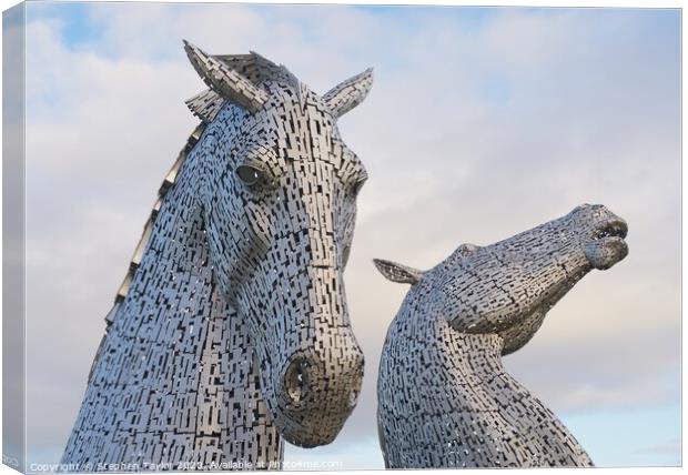 Kelpies at sunrise Canvas Print by Stephen Taylor