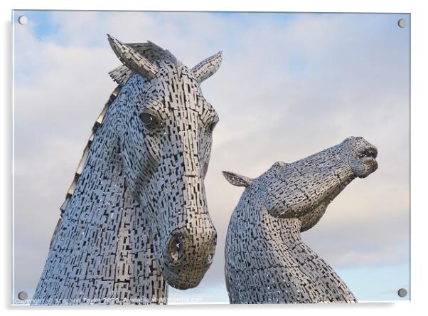 Kelpies at sunrise Acrylic by Stephen Taylor