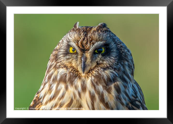 Face to face with a Short-eared Owl Framed Mounted Print by Stephen Rennie