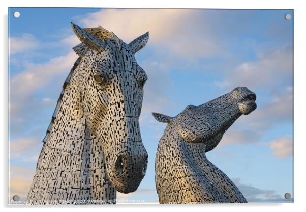The Kelpies Acrylic by Stephen Taylor