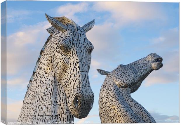 The Kelpies Canvas Print by Stephen Taylor