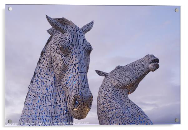 The Kelpies Acrylic by Stephen Taylor