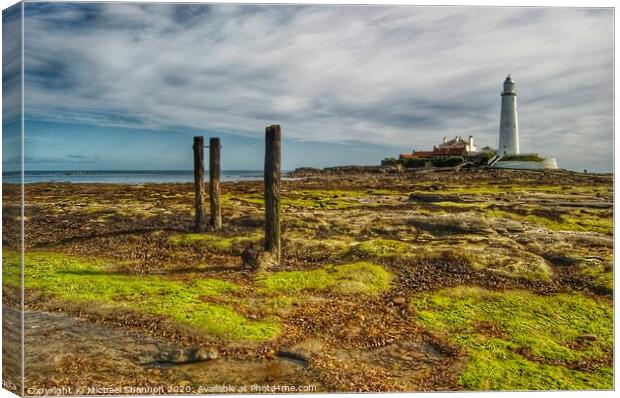 St Mary's Island and Lighthouse, Northumberland Canvas Print by Michael Shannon
