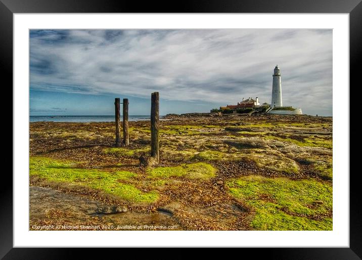 St Mary's Island and Lighthouse, Northumberland Framed Mounted Print by Michael Shannon
