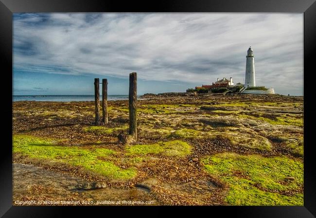 St Mary's Island and Lighthouse, Northumberland Framed Print by Michael Shannon