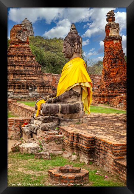 Ayutthaya Thai Buddha Framed Print by Adrian Evans