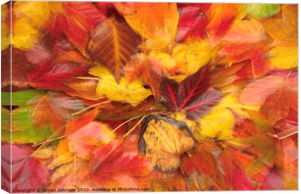 Autumn Ldeaf Collage Canvas Print by Simon Johnson