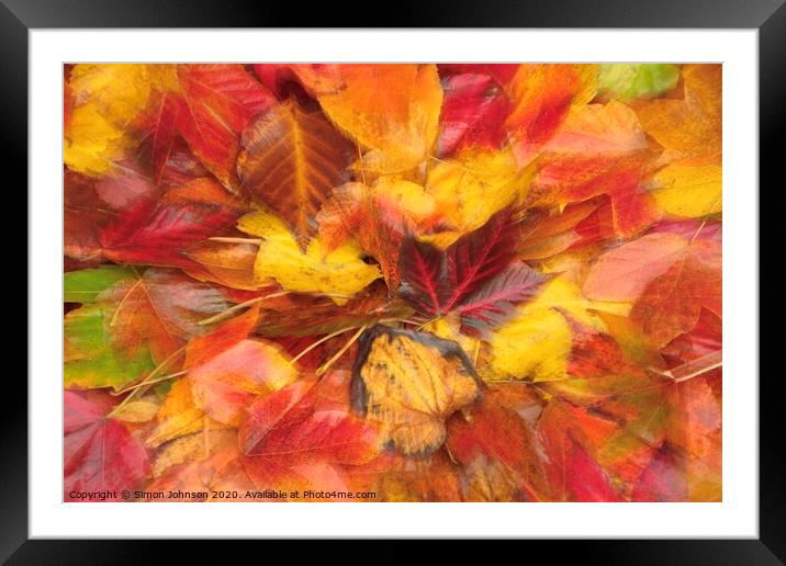 Autumn Ldeaf Collage Framed Mounted Print by Simon Johnson