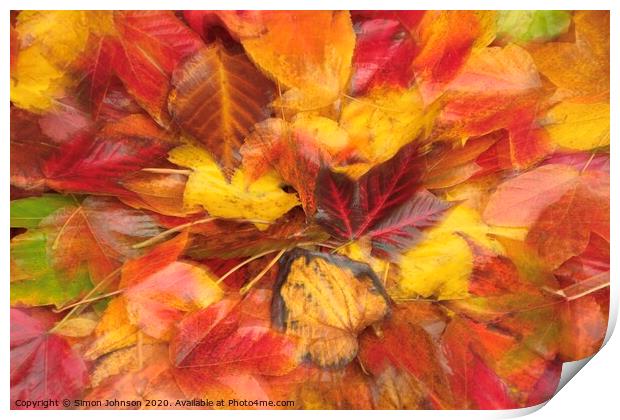 Autumn Ldeaf Collage Print by Simon Johnson