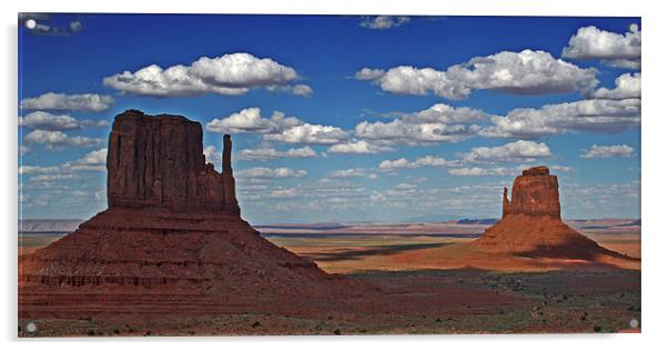 Monument Valley Mittens Acrylic by David Pringle