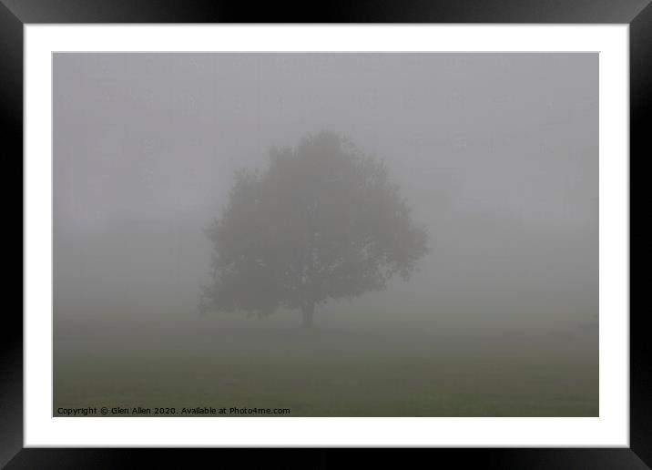 Misty Tree Framed Mounted Print by Glen Allen