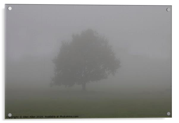 Misty Tree Acrylic by Glen Allen