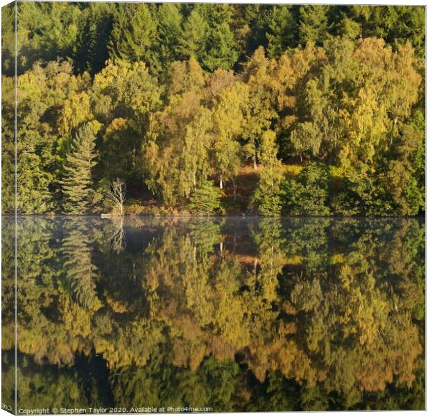 Autumn colours on the River Tummel Canvas Print by Stephen Taylor