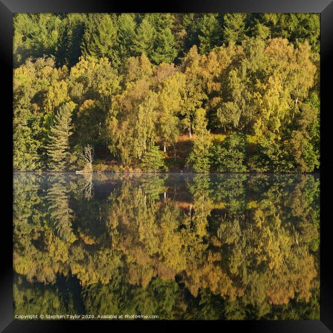 Autumn colours on the River Tummel Framed Print by Stephen Taylor