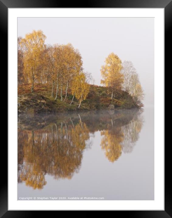 Autumn colours Framed Mounted Print by Stephen Taylor