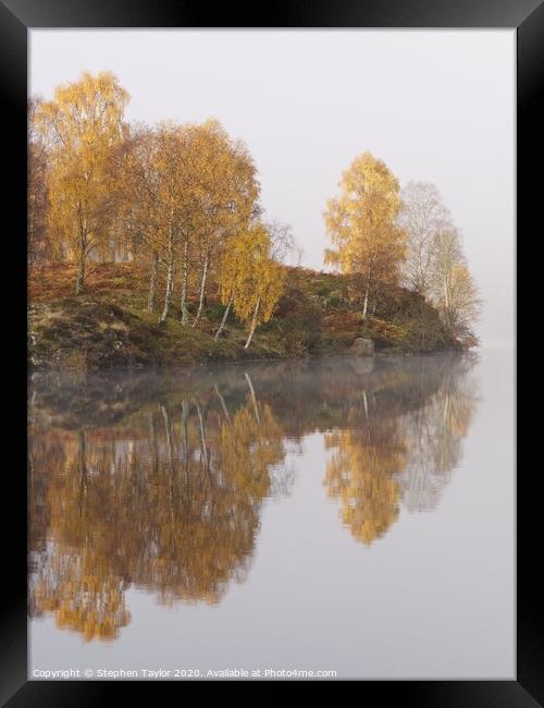 Autumn colours Framed Print by Stephen Taylor