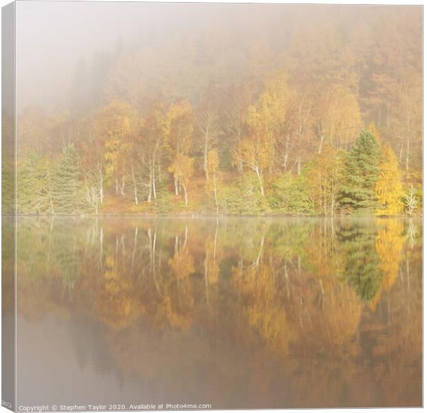 Autumn reflections Canvas Print by Stephen Taylor