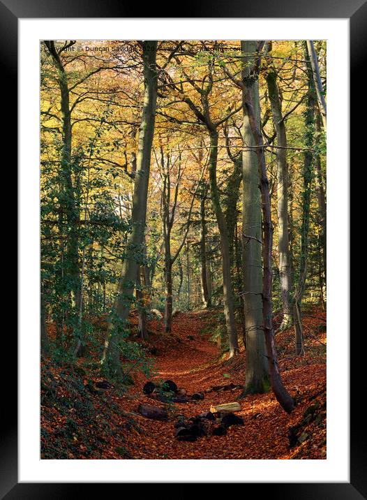 Autumn at Rainbow woods Bath Framed Mounted Print by Duncan Savidge