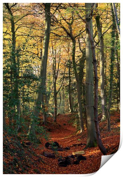 Autumn at Rainbow woods Bath Print by Duncan Savidge