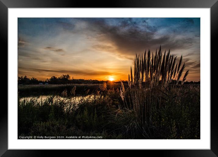 Dawn's Embrace in Camargue Marsh Framed Mounted Print by Holly Burgess