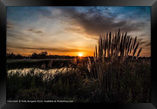 Dawn's Embrace in Camargue Marsh Framed Print by Holly Burgess