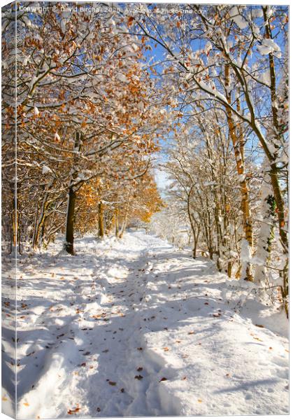 Derbyshire woodland pathway in snow. Canvas Print by David Birchall