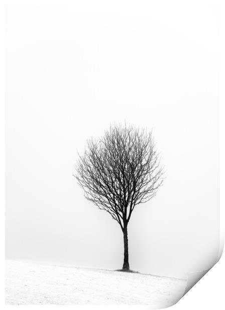Little Tree Print by Grant Glendinning