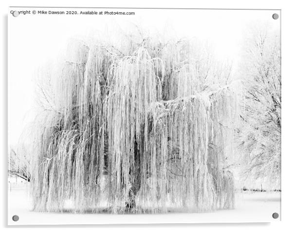 Frozen Willow Acrylic by Mike Dawson