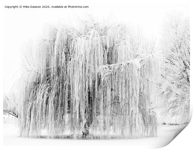 Frozen Willow Print by Mike Dawson