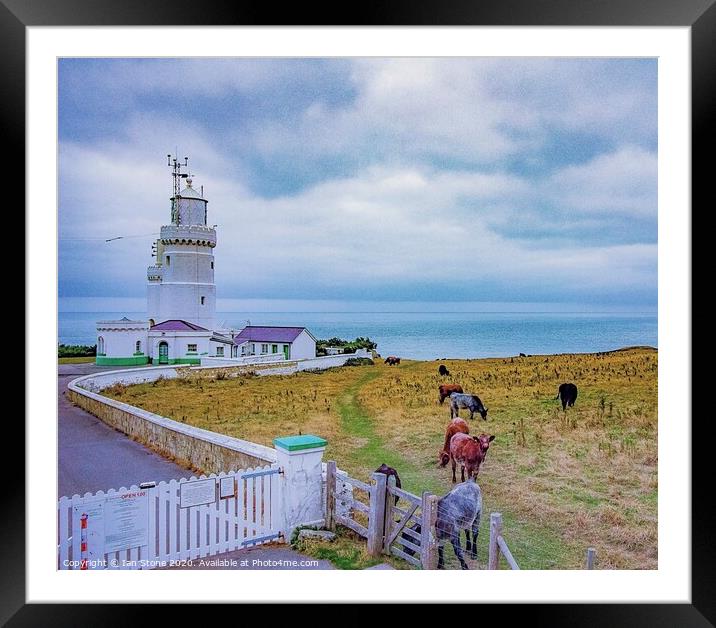Saint Catherine’s Lighthouse  Framed Mounted Print by Ian Stone