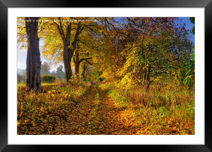 Autumn colours, Moncrieffe island, River Tay,  Per Framed Mounted Print by Navin Mistry