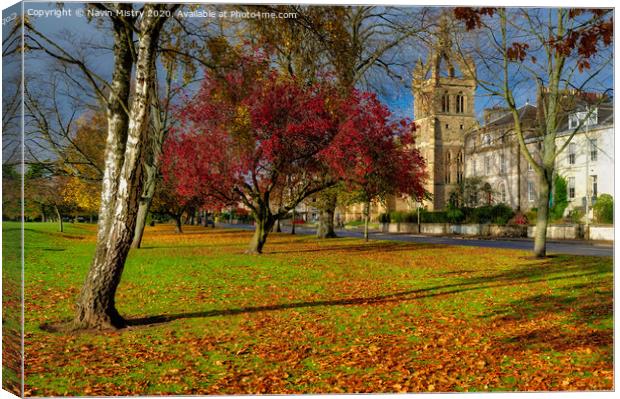 Autumn Colours, South Inch, Perth Canvas Print by Navin Mistry