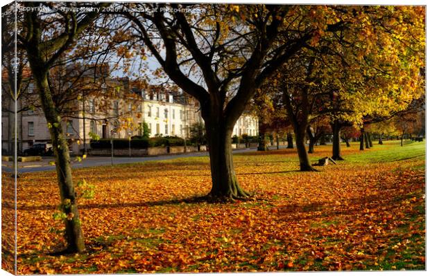 The South Inch, Perth, Scotland in Autumn Canvas Print by Navin Mistry