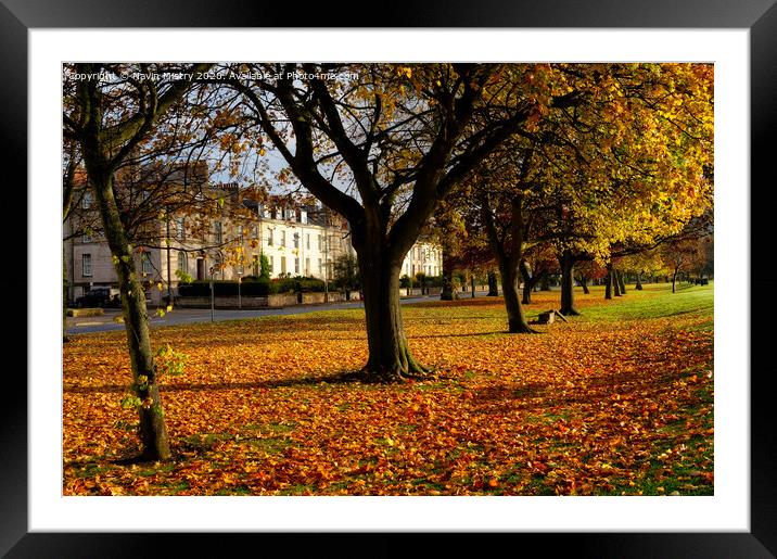 The South Inch, Perth, Scotland in Autumn Framed Mounted Print by Navin Mistry