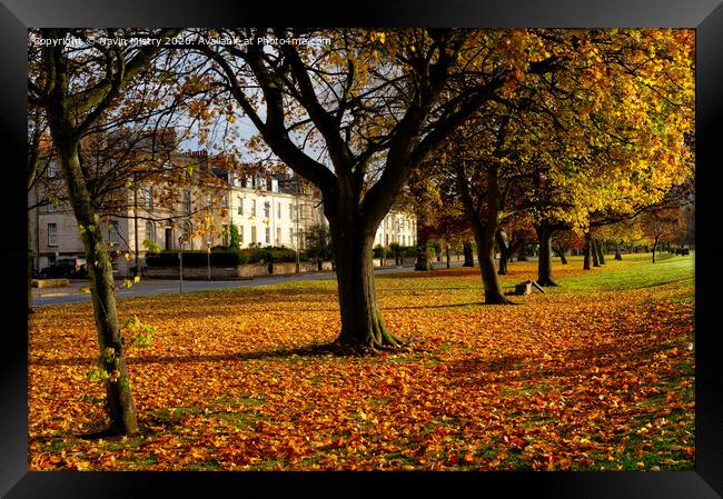 The South Inch, Perth, Scotland in Autumn Framed Print by Navin Mistry