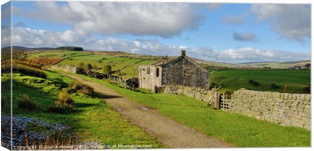 Ruins on the Bronte Way Yorkshire Dales  Canvas Print by Diana Mower