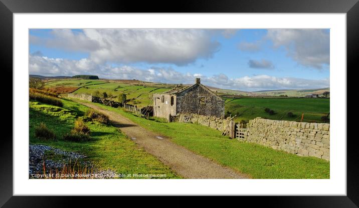 Ruins on the Bronte Way Yorkshire Dales  Framed Mounted Print by Diana Mower