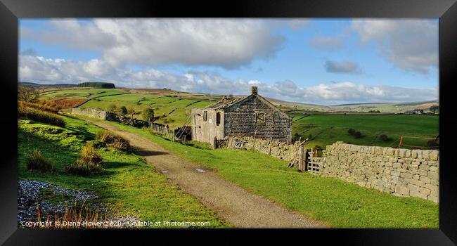 Ruins on the Bronte Way Yorkshire Dales  Framed Print by Diana Mower