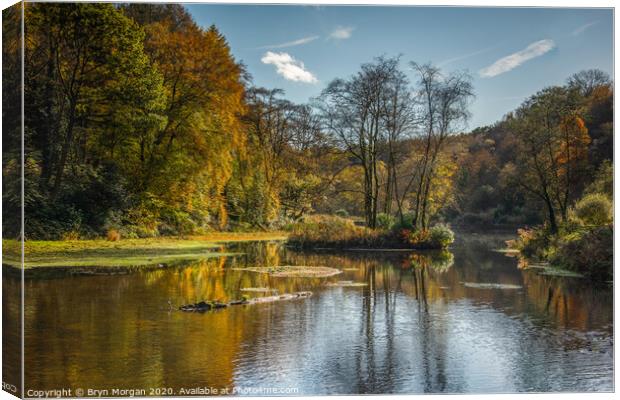 Penllergare valley woods lake Canvas Print by Bryn Morgan