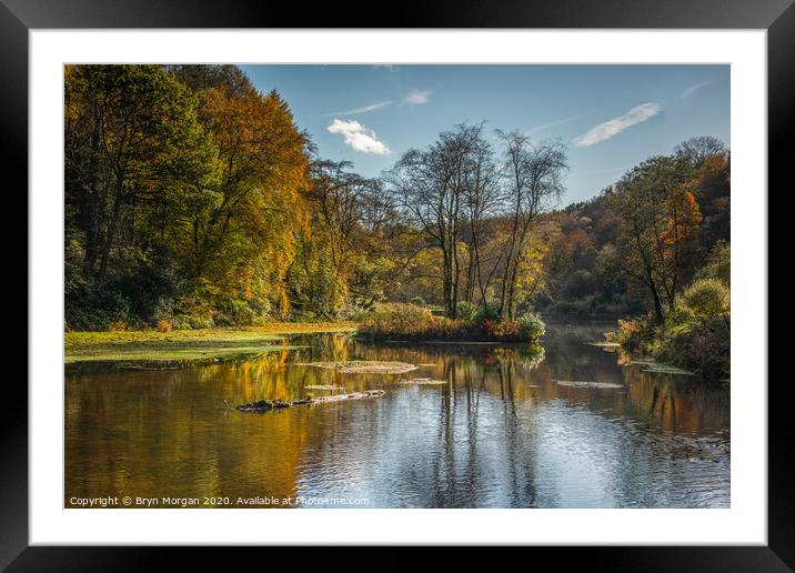 Penllergare valley woods lake Framed Mounted Print by Bryn Morgan