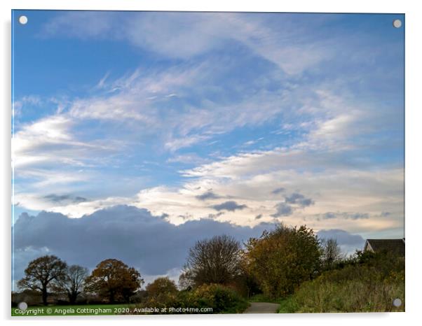Beautiful Sky over Bishopthorpe Acrylic by Angela Cottingham