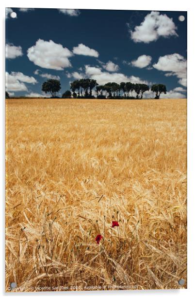 Cereal field with poppies Acrylic by Vicente Sargues