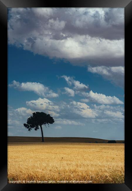 The lonely tree in the field Framed Print by Vicente Sargues