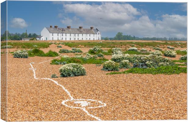 shingle street shells Canvas Print by Kevin Snelling