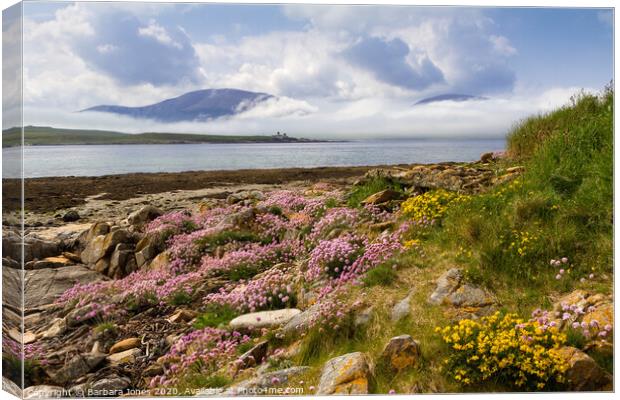 Isle of Hoy in Summer Orkney Scotland Canvas Print by Barbara Jones