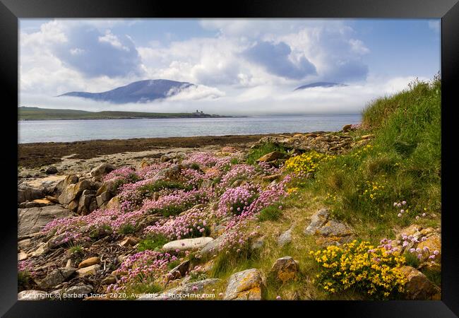 Isle of Hoy in Summer Orkney Scotland Framed Print by Barbara Jones