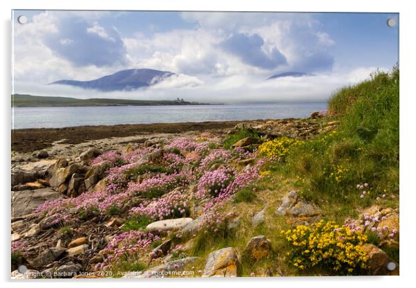 Isle of Hoy in Summer Orkney Scotland Acrylic by Barbara Jones